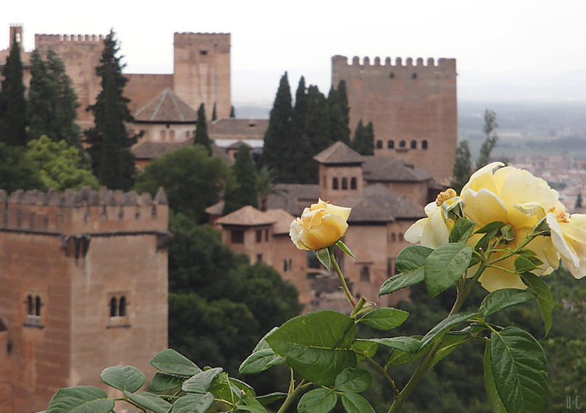 The unforgettable Alhambra