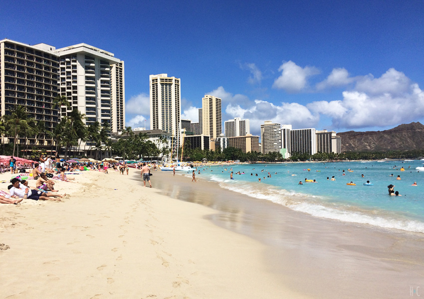 Colori Assortiti Mondo Tavola Mare Waikiki 30850