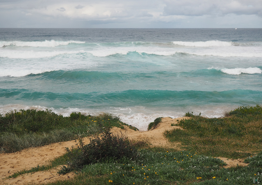A rainy day trip to Sydney’s Northern Beaches
