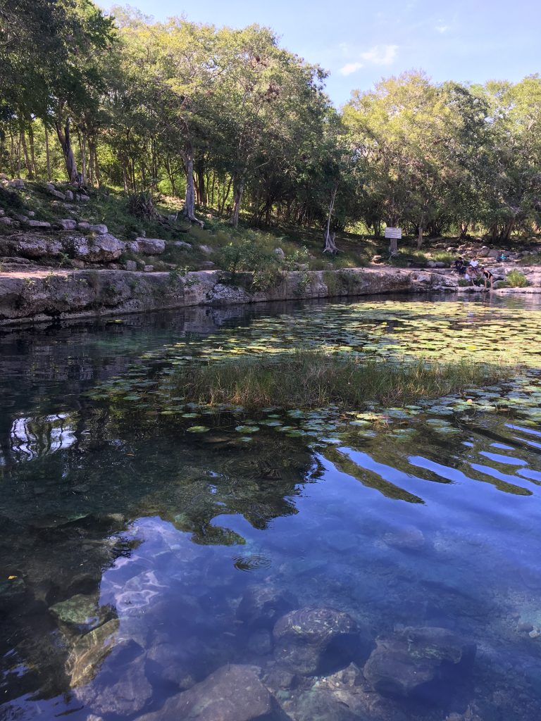 Merida day trip to cenotes