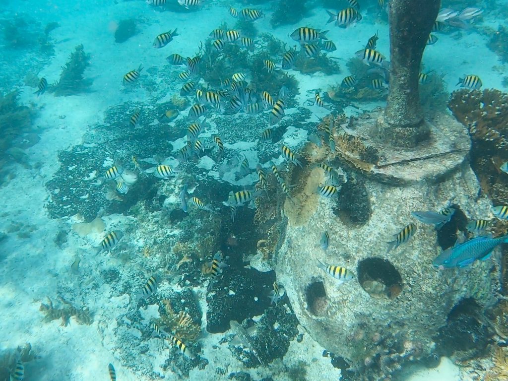 Fish swimming around a bomb sculpture at the MUSA in Isla Mujeres