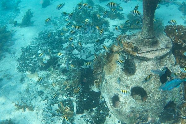 Snorkeling in Isla Mujeres: what to watch out for